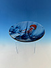 Blue Jelly Fish Bowl