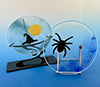 Halloween Plates (Each)