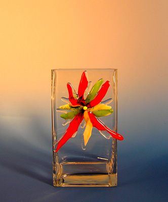 Red Flower/Tall Vase