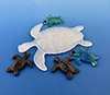 Large Sea Turtle
