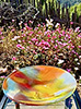 Sunset Bowl