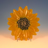 Yellow Sunflower Plate